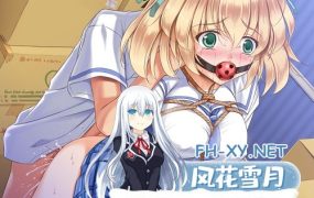 [后宫/拔作/ADV/汉化] EM女孩姐妹 AI汉化版 [3.1G百度]